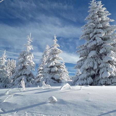 Apartman D52 Dvori Kopaonik Esterno foto