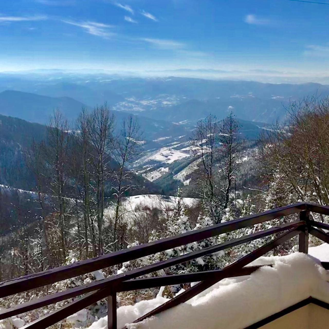 Apartman D52 Dvori Kopaonik Esterno foto